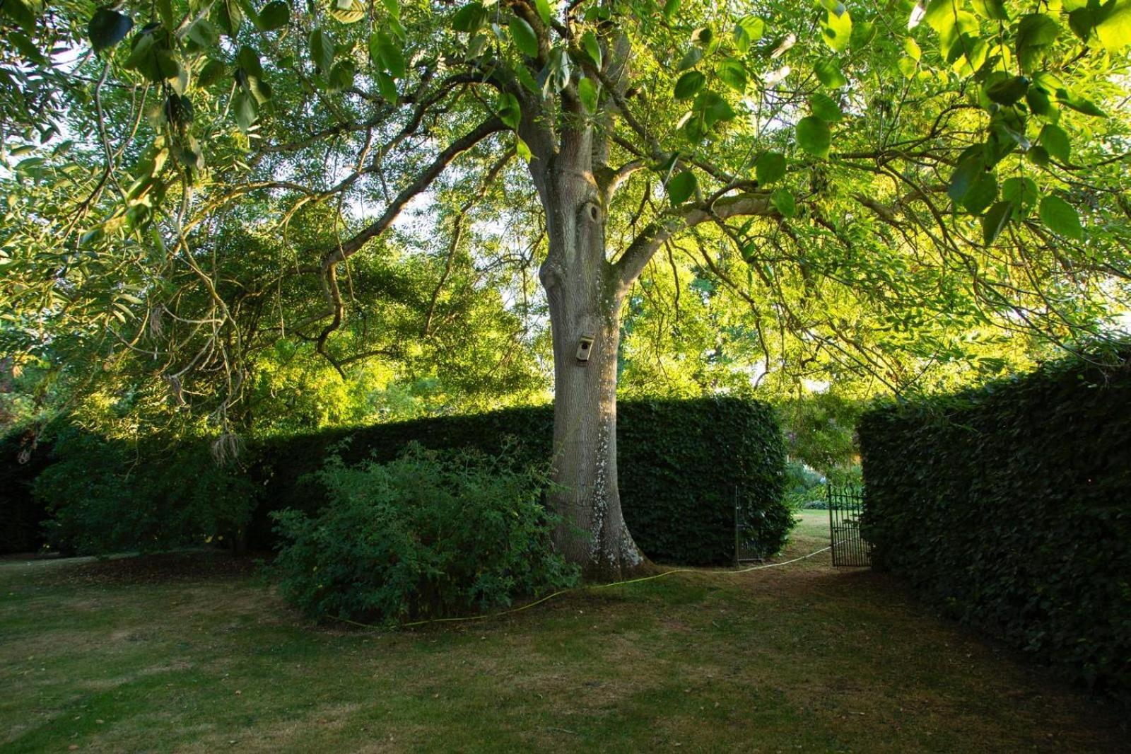 Ebony Cottage Tenbury Wells Exterior foto